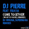 Come Together (What Is House?) (DJ Vivona Remix)