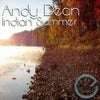Indian Summer (Dave Horne Remix)