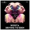Driving To Eden (Original Mix)