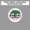 Never Never Land (Bjoern Small's Never Ever Mix)