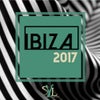 Ibiza 2017 (Continuous DJ Mix)