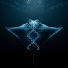 Manta