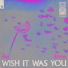 Wish It Was You feat. Cate Downey (Axis Extended Remix)
