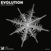 Evolution (Ariscan Remix)