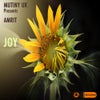 Joy (Bearface Dub)