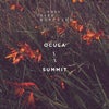 Summit (Original Mix)