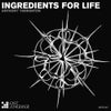 Ingredients For Life (Original Mix)