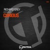 Curious (Original Mix)