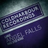 Angel Falls (Mike EFEX Extended Remix)