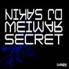 Secret (DJ Space Raven Remix)