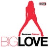 Big Love (Muzzaik Remix)
