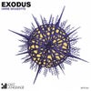 Exodus (Mac And Monday)