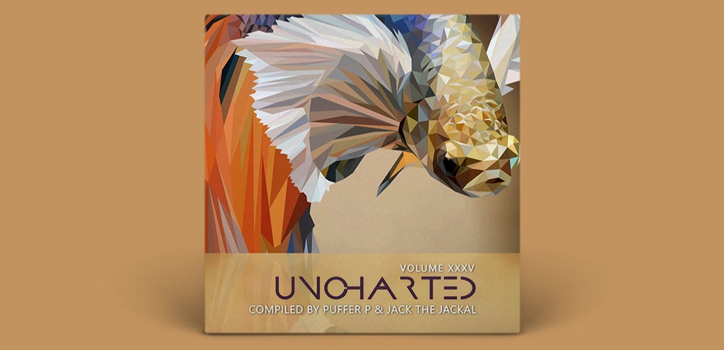 Uncharted Vol.35