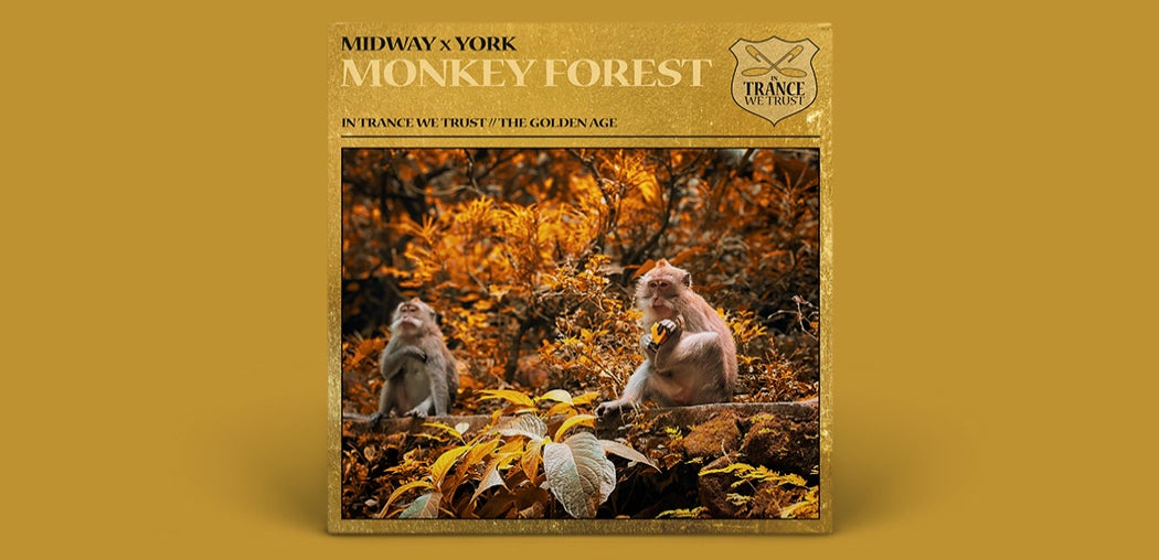 Monkey Forest