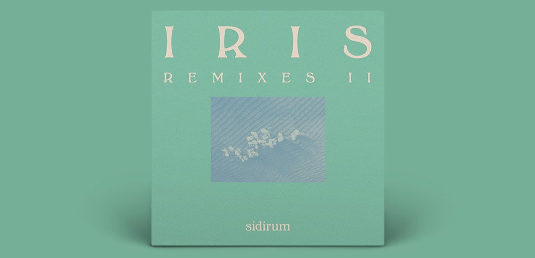 Iris (Remixes II)
