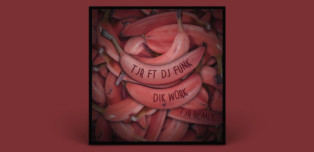 Dik Work (TJR Remix)