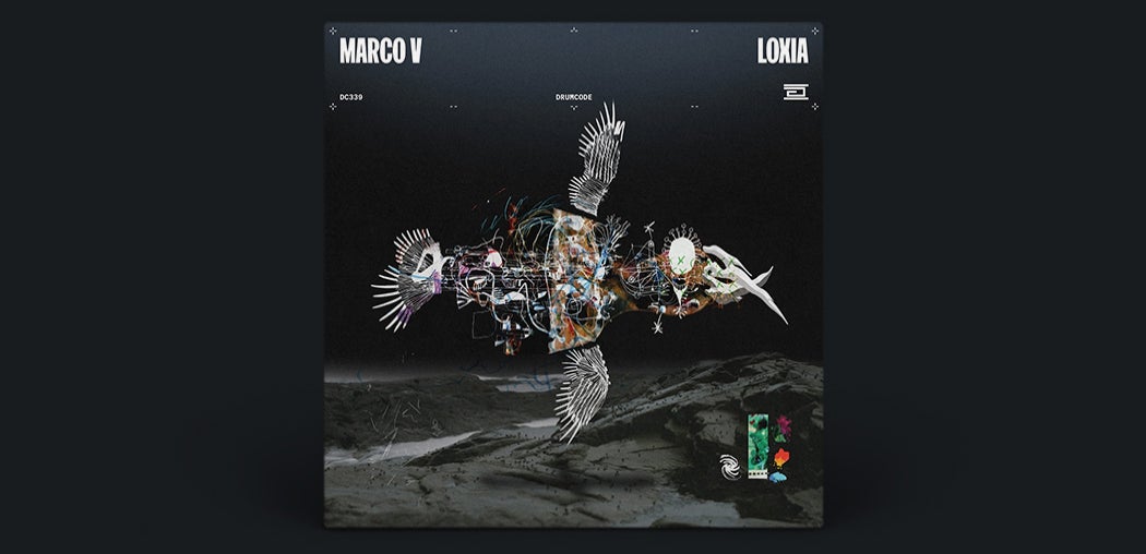 Loxia