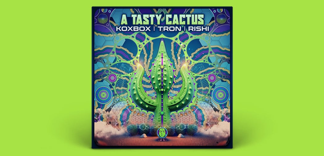 A Tasty Cactus