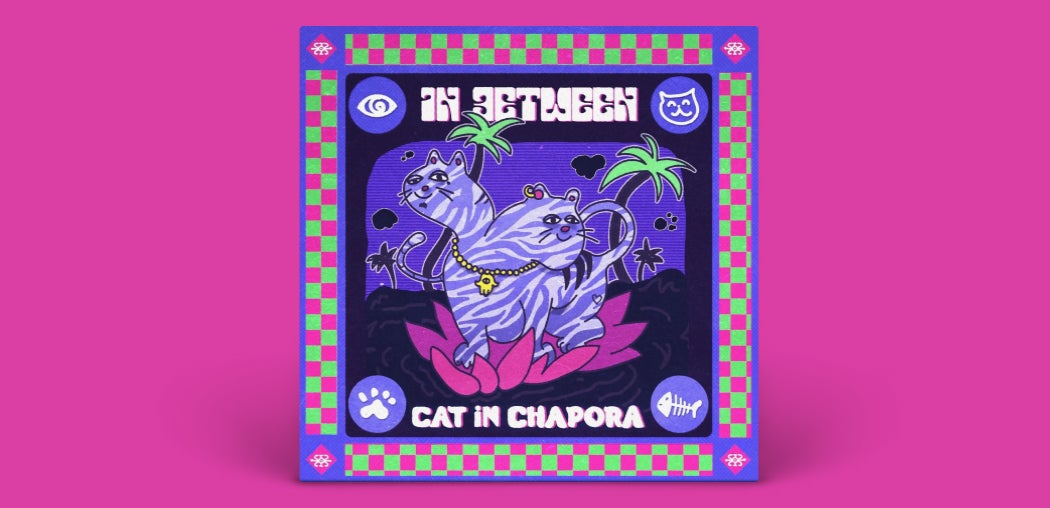 Cat in Chapora
