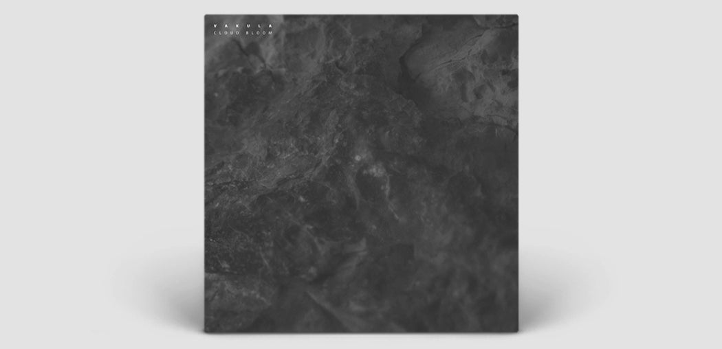 Cloud Bloom / Echoes
