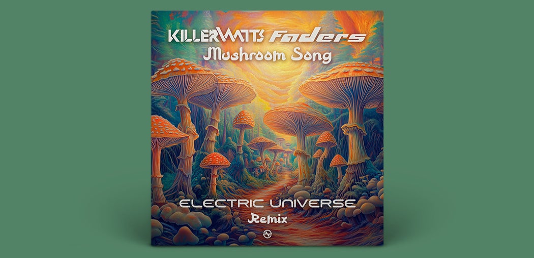 Mushroom Song (Electric Universe Remix)
