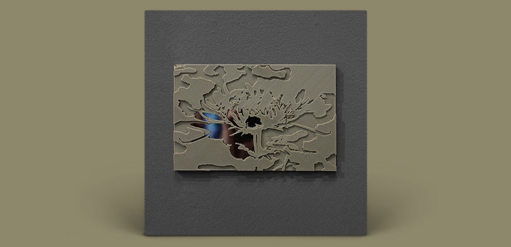 SMV011