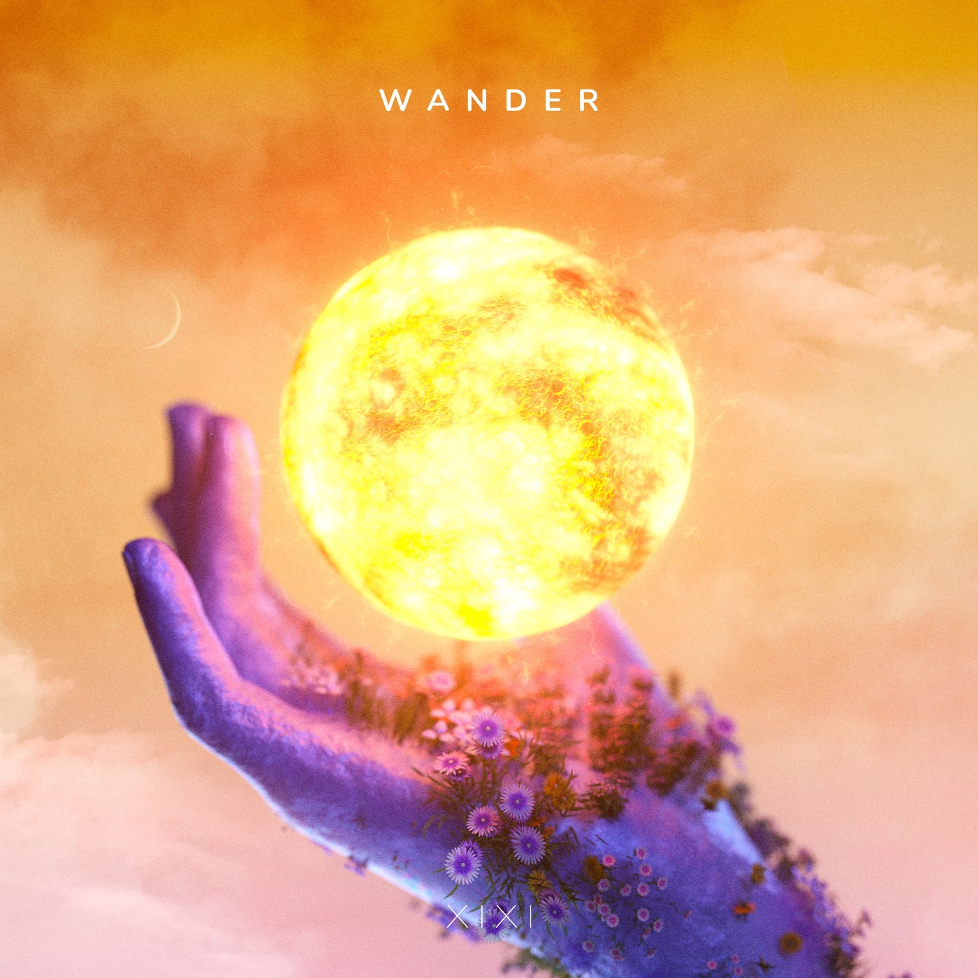 Wander