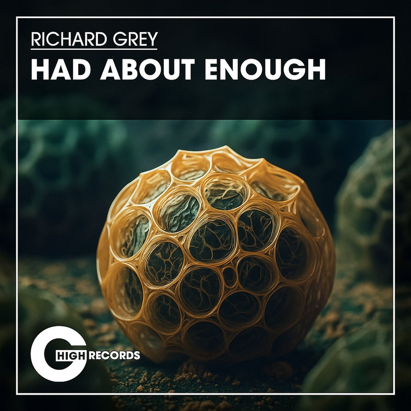 Cover art for Had About Enough 
