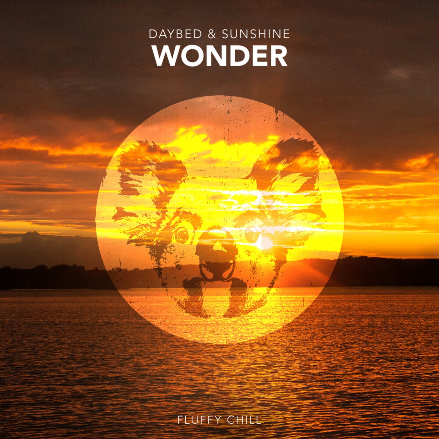 Wonder