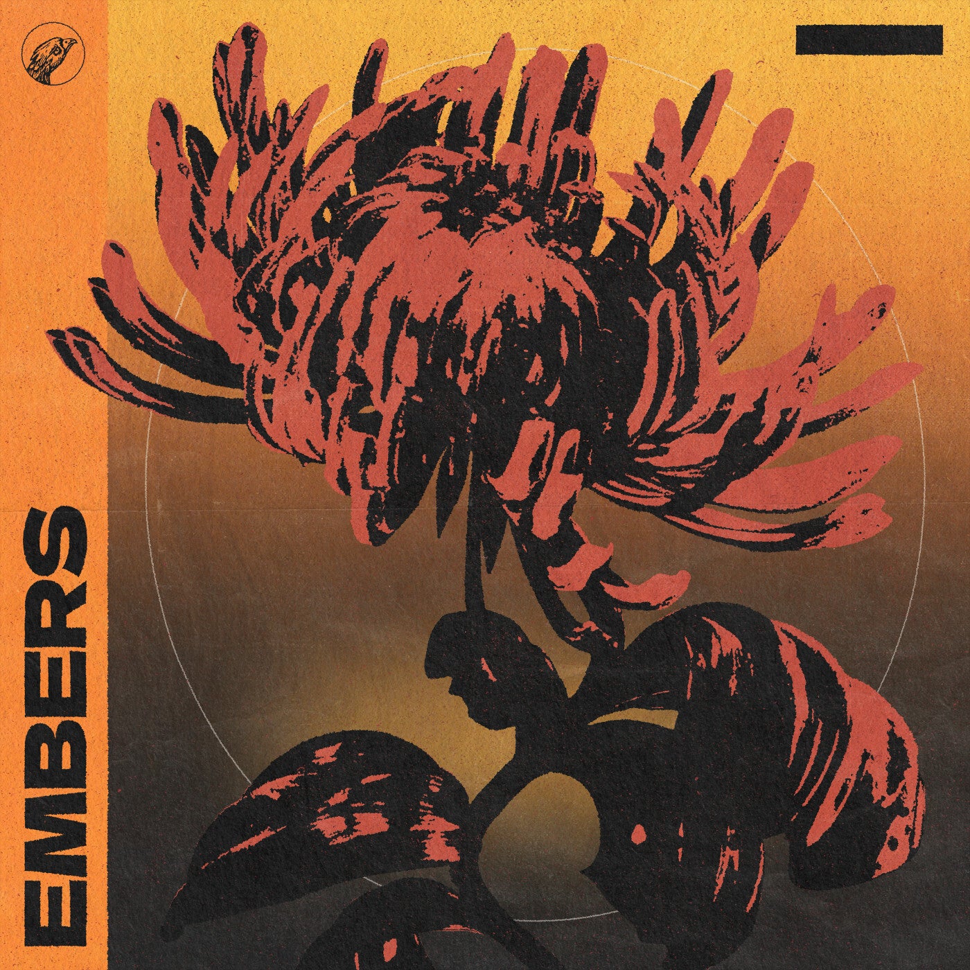 Embers