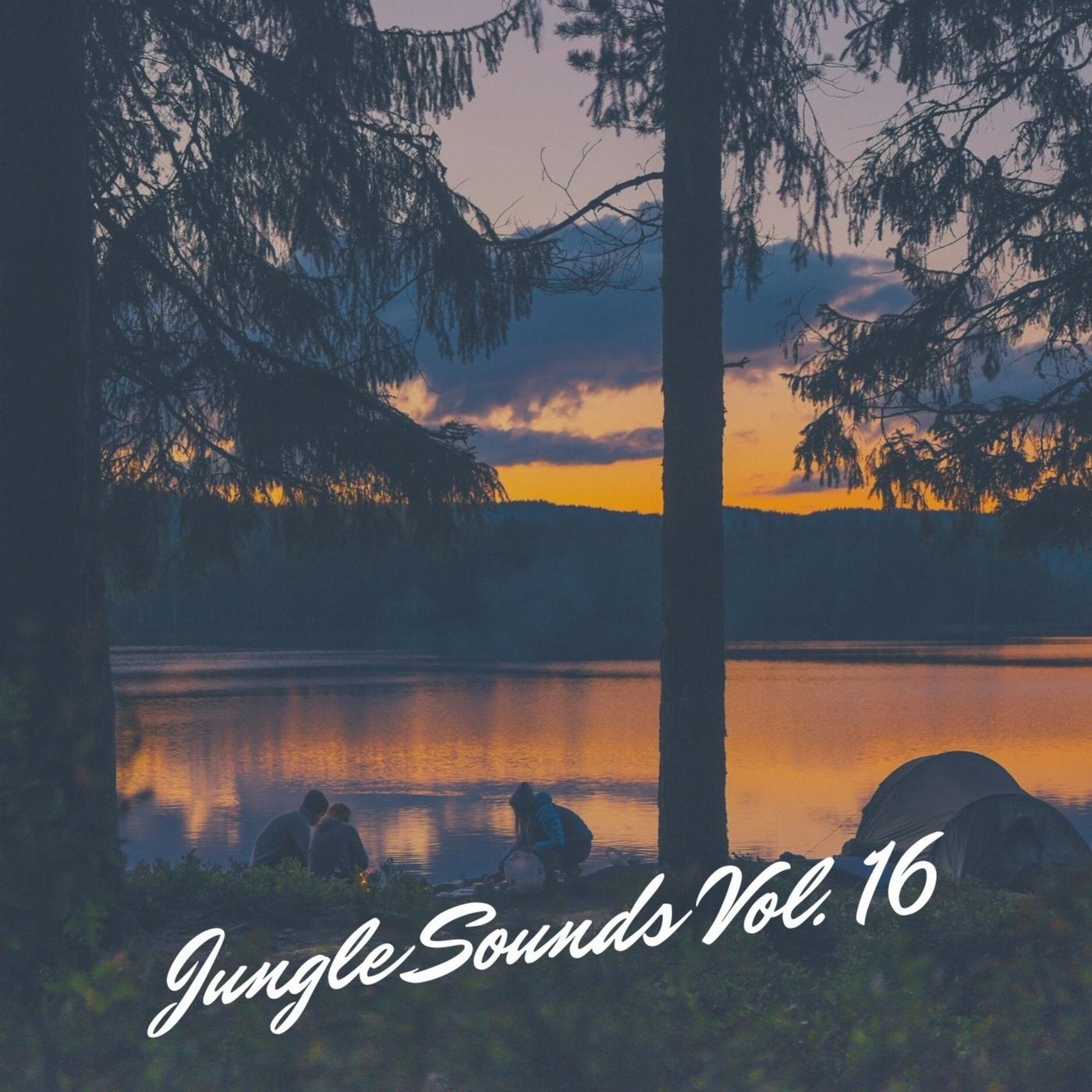 Jungle Sounds Vol. 16