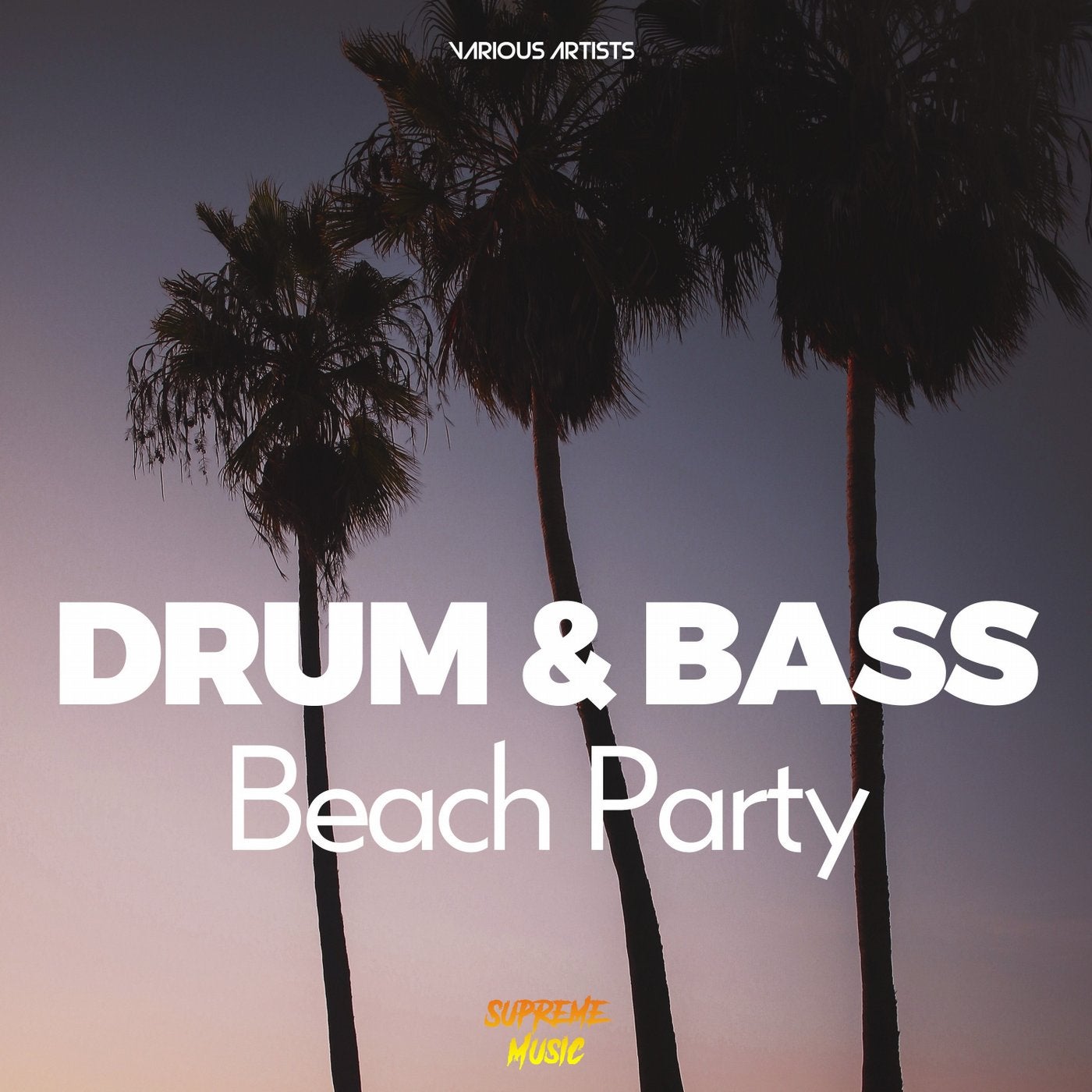 Drum & Bass Beach Party
