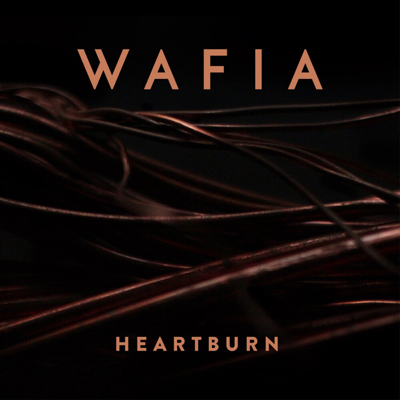 Cover art for Heartburn (10 year anniversary edition)