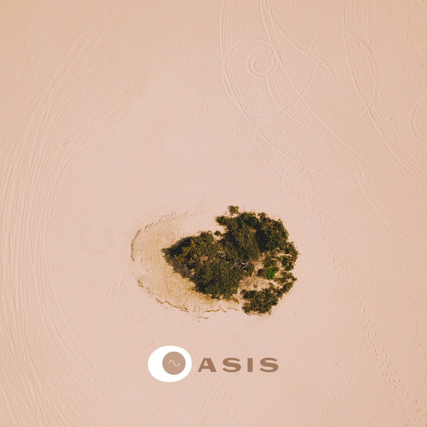 Oasis