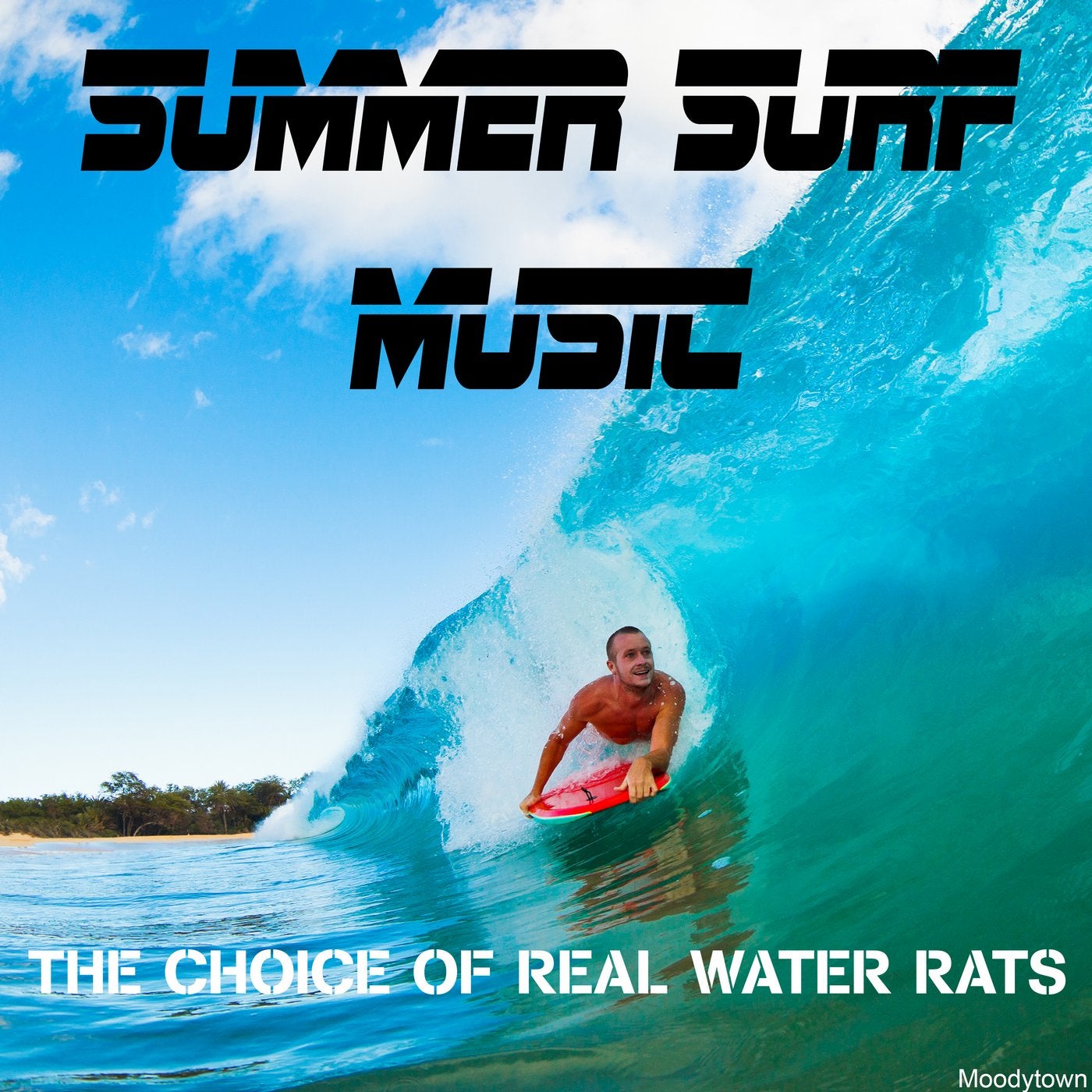 Summer Surf Music the Choice of Real Water Rats