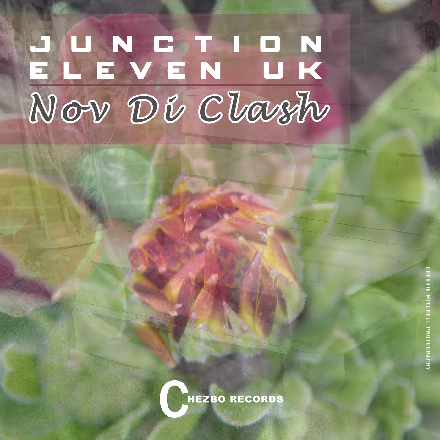Nov Di Clash