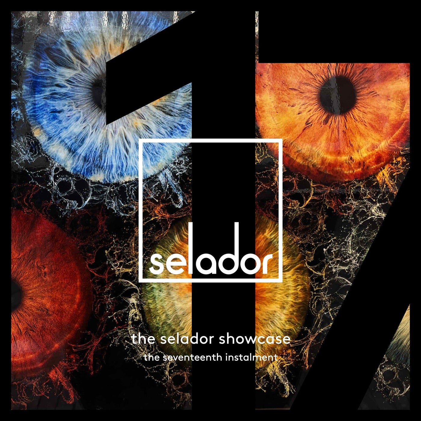 VA – The Selador Showcase – The Seventeenth Instalment SEL163 VA – The Selador Showcase – The Seventeenth Instalment SEL163