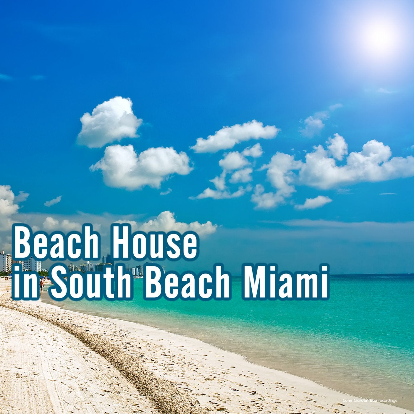 Beach House in South Beach Miami