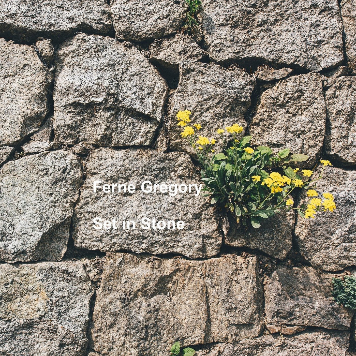 Set in Stone