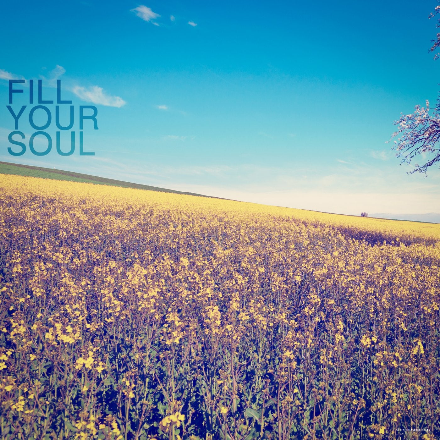 Fill Your Soul