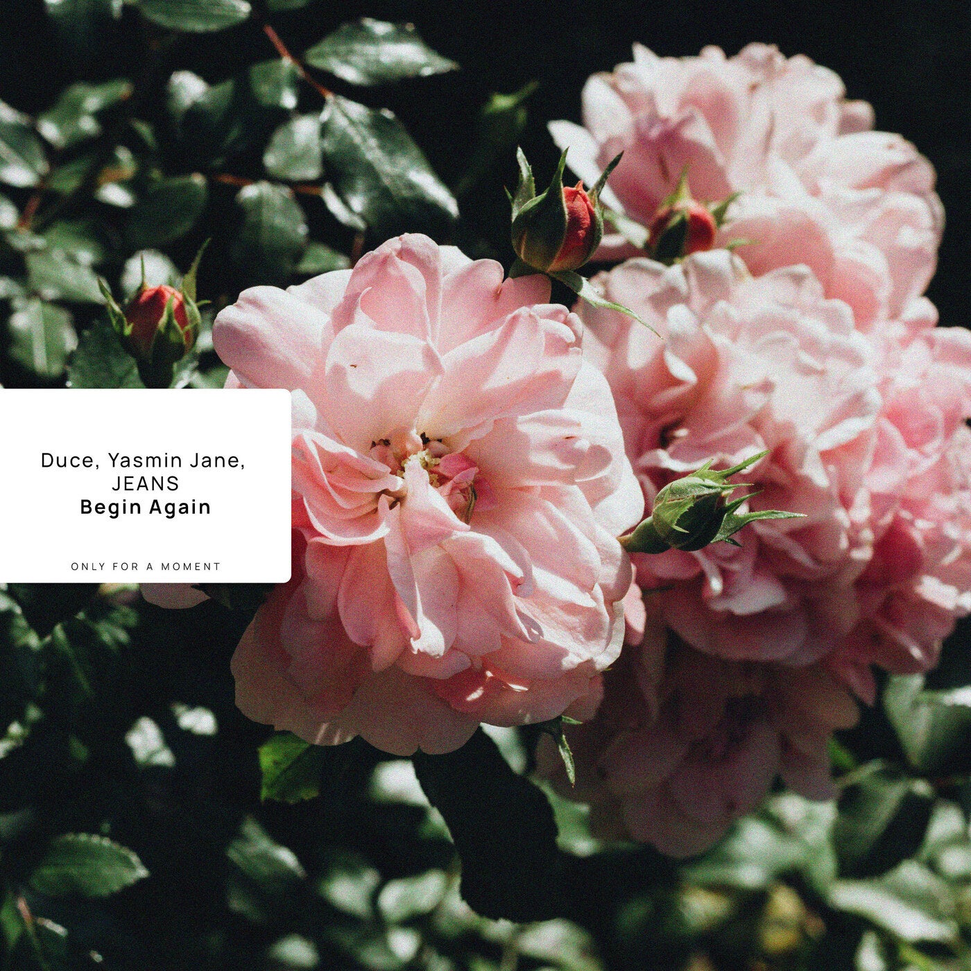Begin Again (Extended Mix)