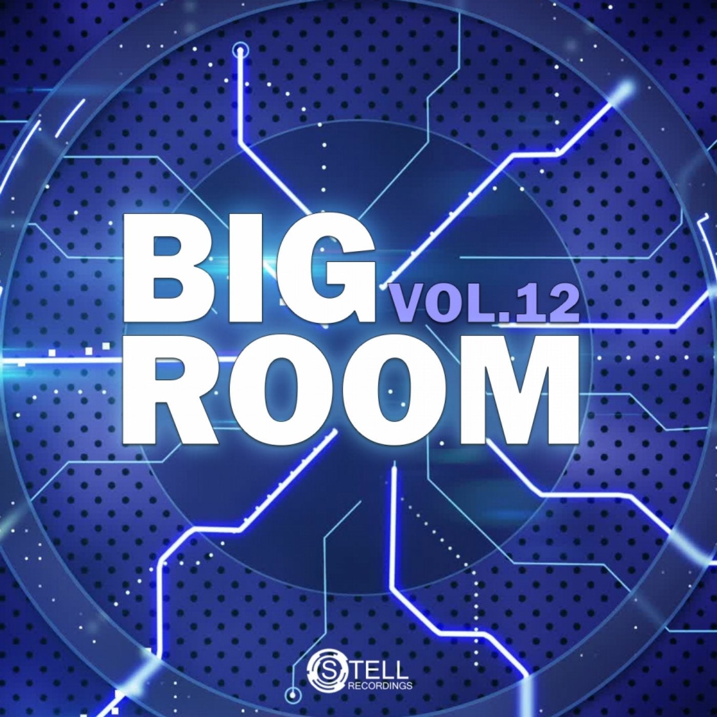 Big Room, Vol. 12