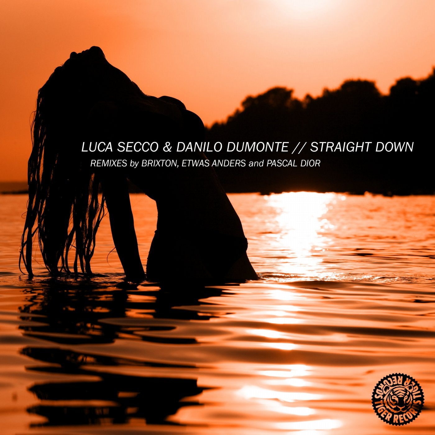 Straight Down (Remixes)
