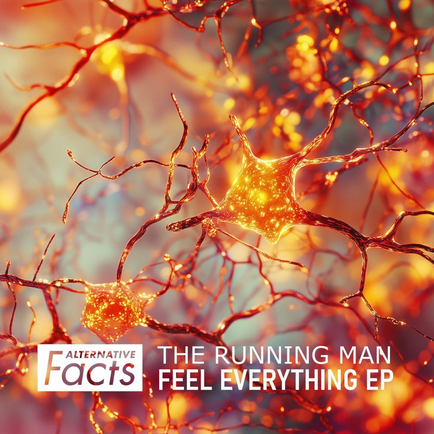 Feel Everything EP