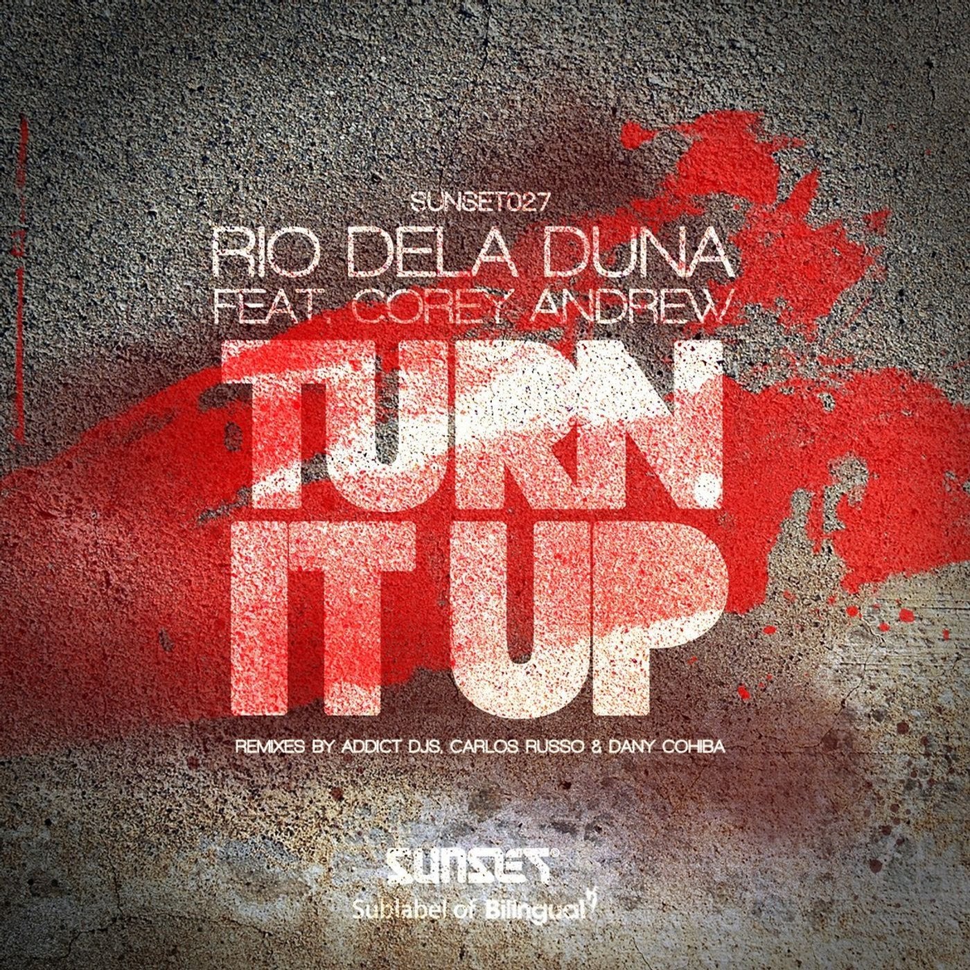 Turn it up (Remixes). Frankenin it up Dany. Rio up.