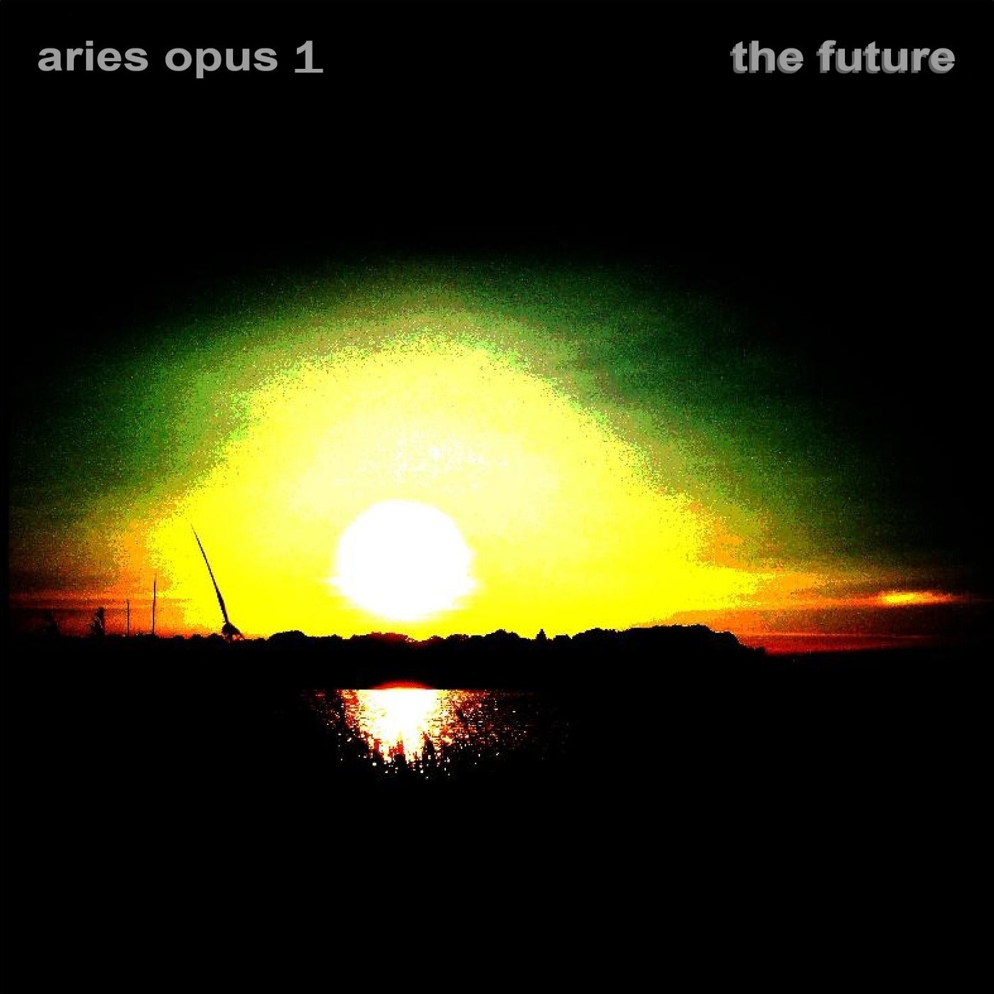 Opus 1 - The Future
