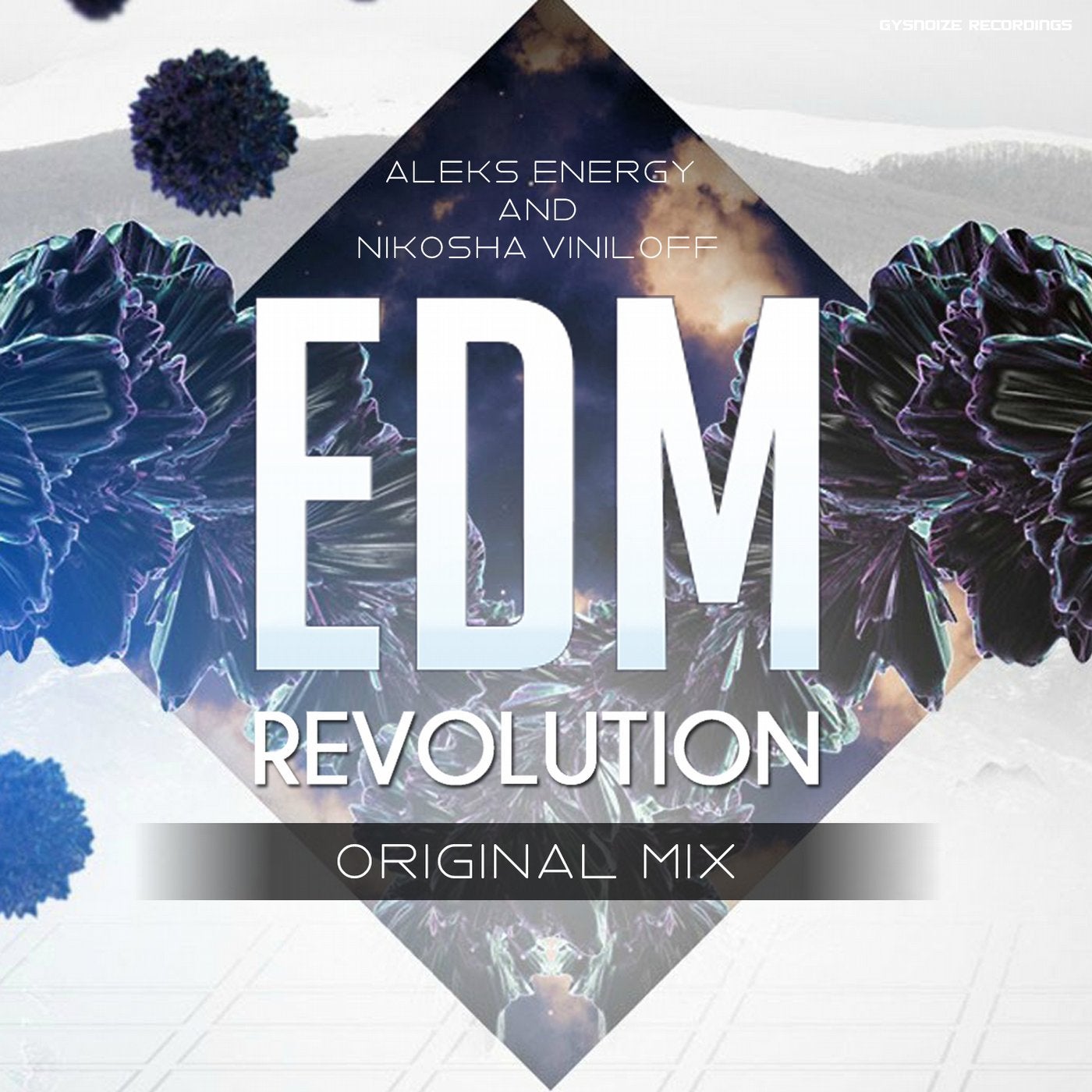Edm Revolution - Single