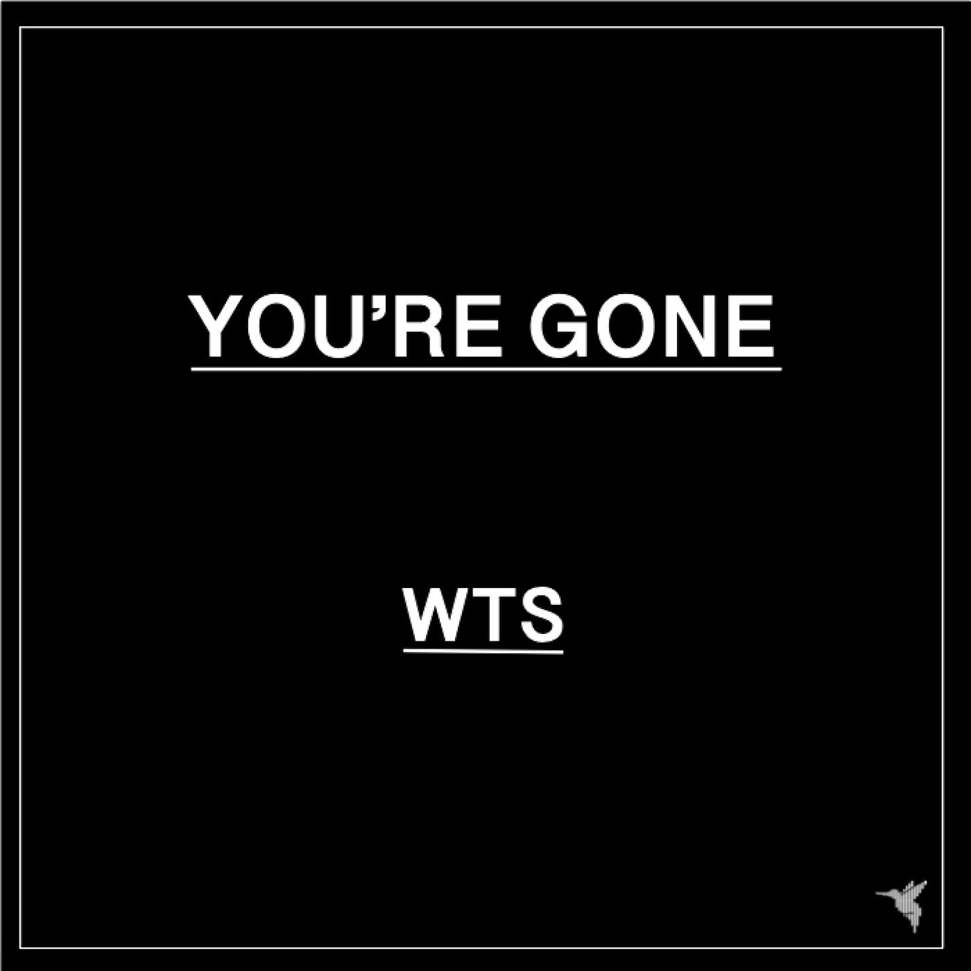 You're Gone (Mixes)