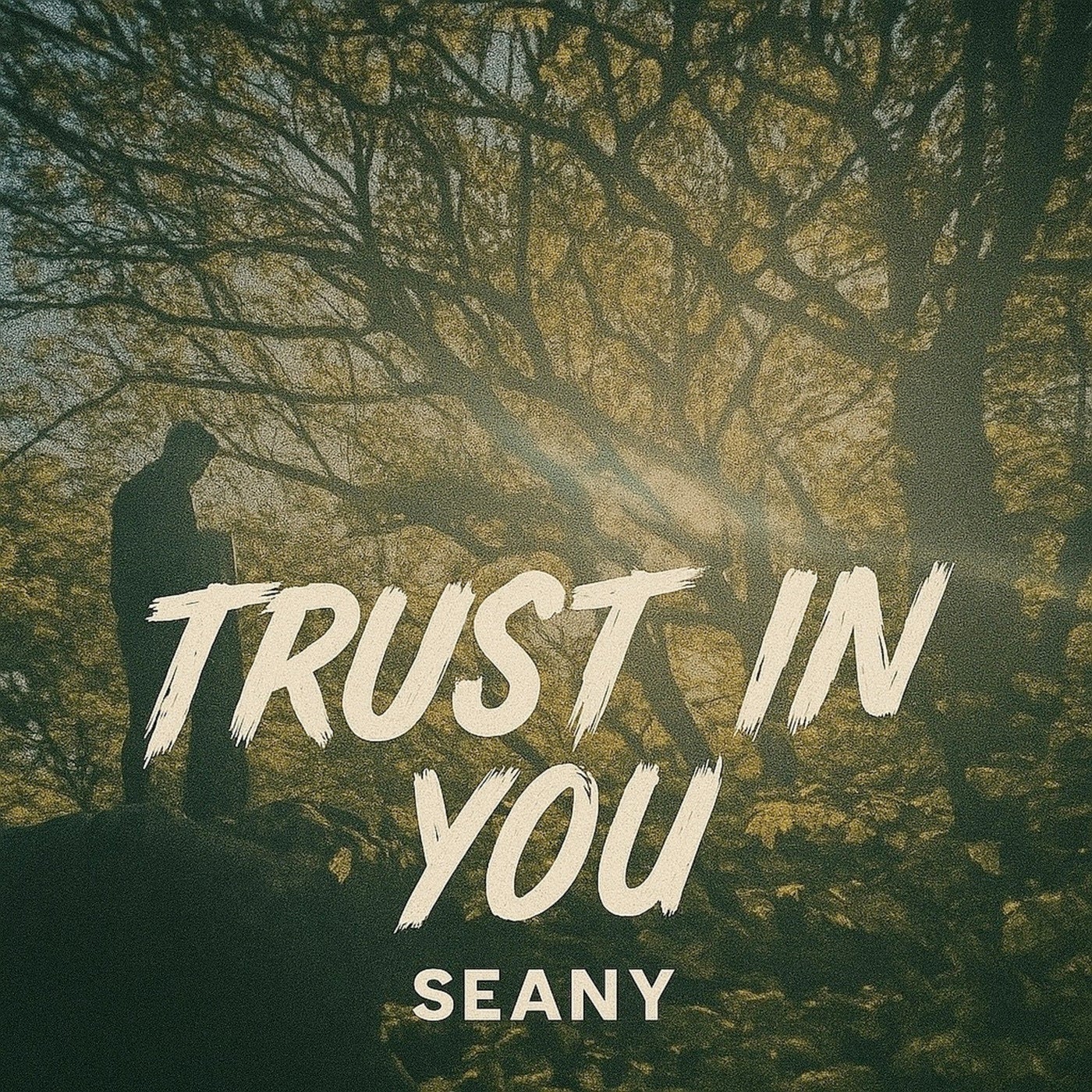 Trust in You (Remixes)