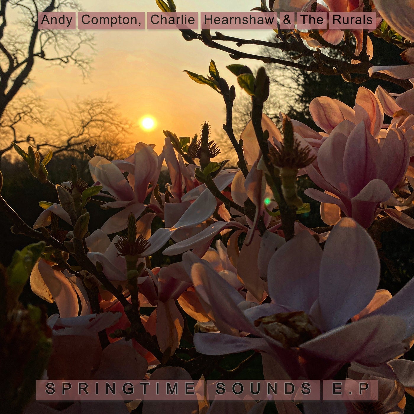 Springtime Sounds E.P